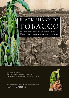 Afbeeldingen van Black shank of tobacco in the former Dutch East Indies, caused by Phytophthora nicotianae
