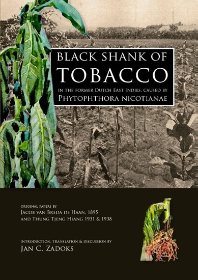 Afbeelding van Black shank of tobacco in the former Dutch East Indies, caused by Phytophthora nicotianae