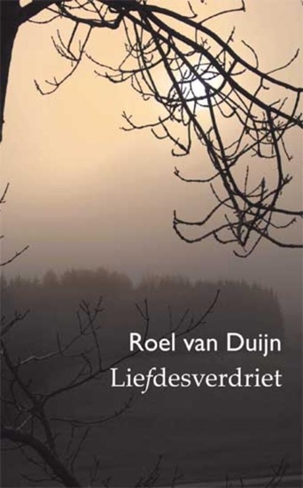 Afbeelding van Liefdesverdriet