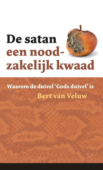 Afbeelding van De satan - een noodzakelijk kwaad