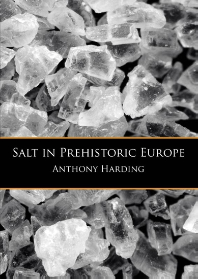 Afbeelding van Salt in prehistoric Europe