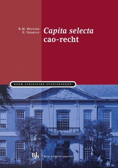 Afbeelding van Boom Juridische studieboeken Capita selecta cao-recht