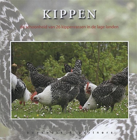 Afbeelding van Kippen