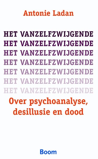 Afbeelding van Het vanzelfzwijgende