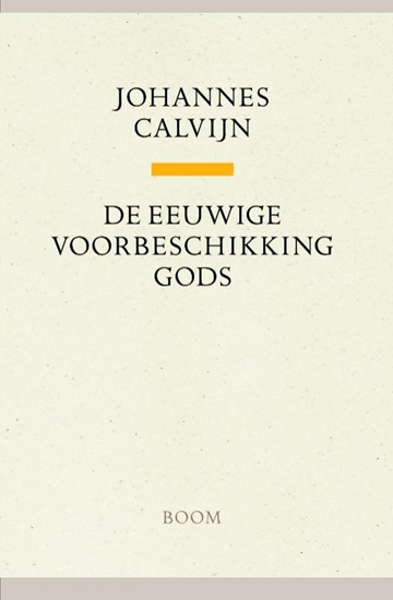 Afbeelding van De eeuwige voorbeschikking Gods