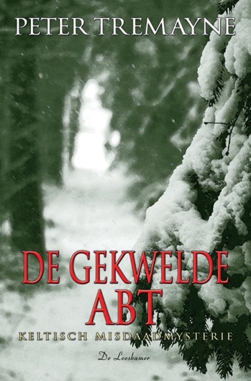 Afbeelding van Zuster Fidelma De gekwelde abt