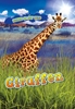 Afbeelding van Dieren in het wild Giraffen
