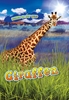 Afbeelding van Dieren in het wild Giraffen