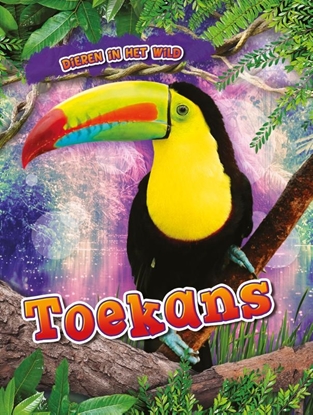 Afbeeldingen van Dieren in het wild Toekans