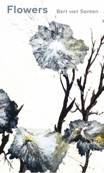 Afbeelding van Flowers