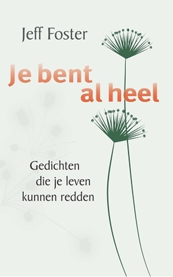 Afbeelding van Je bent al heel