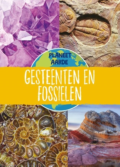 Afbeelding van Planeet Aarde Gesteenten en fossielen