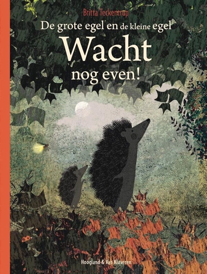 Afbeelding van De grote egel en de kleine egel Wacht nog even!