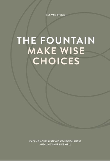 Afbeelding van The fountain, make wise choices