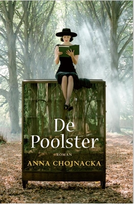 Afbeeldingen van De Poolster