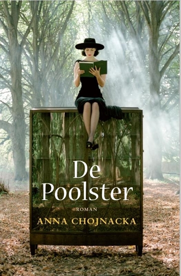 Afbeelding van De Poolster