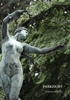 Afbeelding van Parkzicht