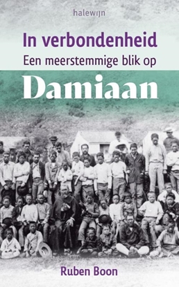 Afbeeldingen van In verbondenheid. Een meerstemmige blik op Damiaan