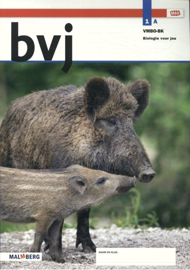 Afbeelding van Max Biologie voor jou 1 vmbo-bk Leerwerkboek A
