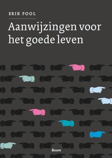 Afbeelding van Aanwijzingen voor het goede leven