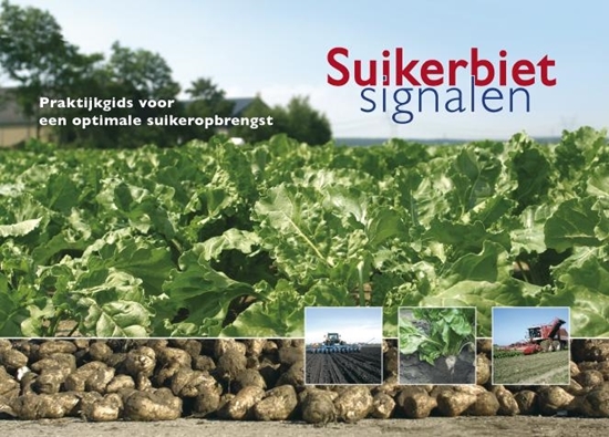 Afbeelding van Suikerbietsignalen