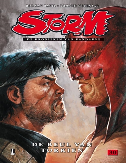 Afbeelding van Storm De kronieken van Pandarve De beul van Torkien