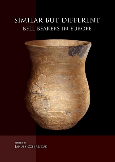 Afbeelding van Similar but different