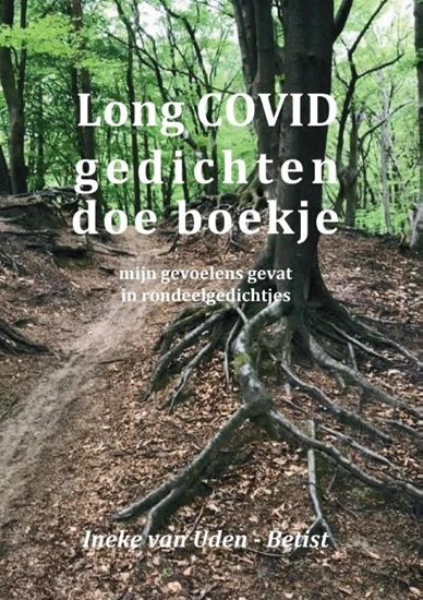 Afbeelding van Long COVID gedichten doe boekje