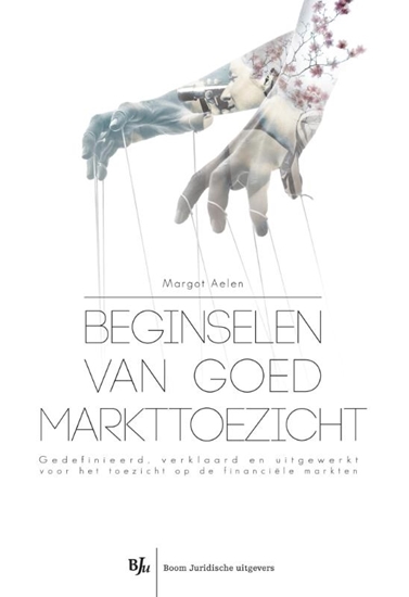 Afbeelding van Beginselen van goed markttoezicht