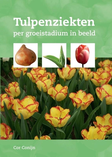 Afbeelding van Tulpenziekten