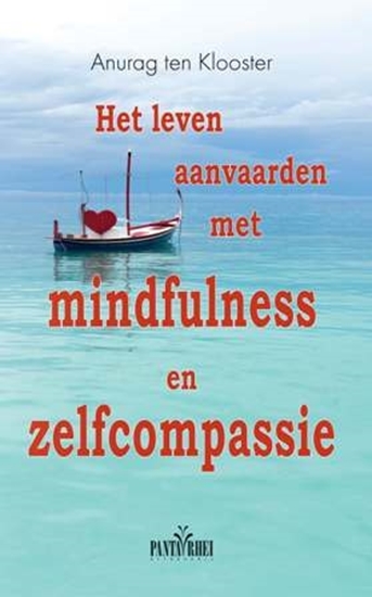 Afbeelding van Het leven aanvaarden met mindfulness en zelfcompassie