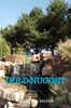 Afbeelding van Gold Nugget