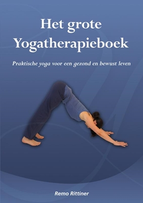 Afbeeldingen van Het grote yogatherapieboek