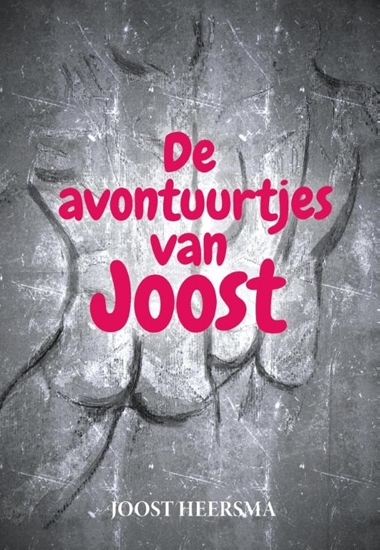 Afbeelding van De avontuurtjes van Joost