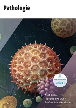 Afbeeldingen van Pathologie