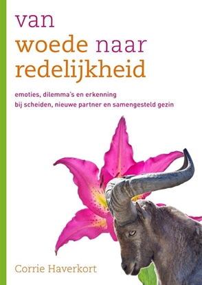Afbeeldingen van Van woede naar redelijkheid