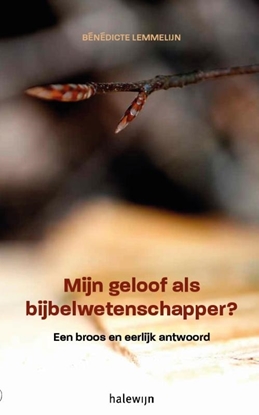 Afbeeldingen van Mijn geloof als Bijbelwetenschapper?