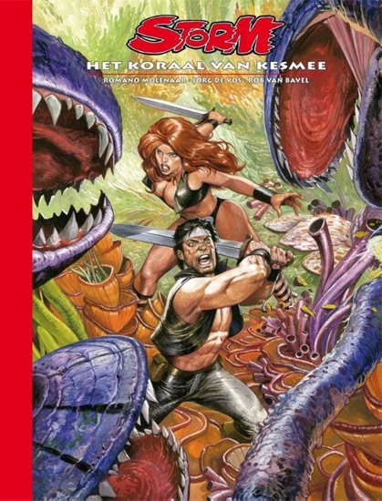 Afbeelding van Storm De kronieken van Pandarve Het koraal van Kesmee