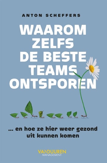 Afbeelding van Waarom zelfs de beste teams ontsporen