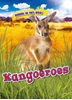 Afbeelding van Dieren in het wild Kangoeroes