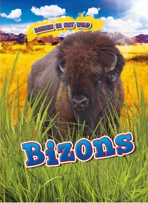 Afbeeldingen van Dieren in het wild Bizons