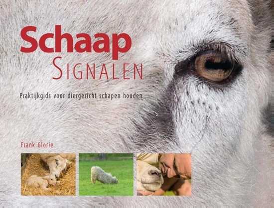 Afbeelding van Schaapsignalen