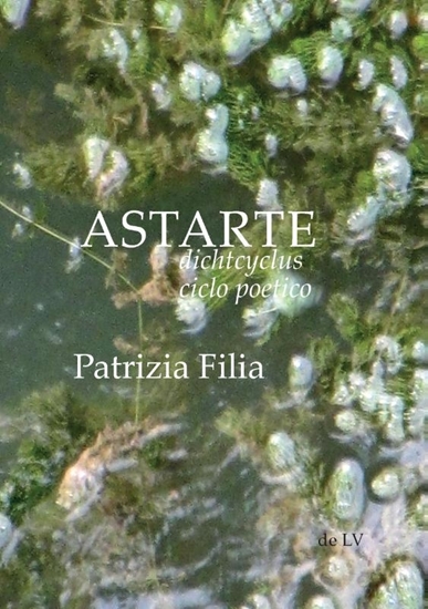 Afbeelding van ASTARTE