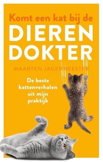 Afbeelding van Komt een kat bij de dierendokter