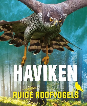 Afbeeldingen van Ruige roofvogels Haviken