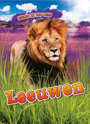 Afbeeldingen van Dieren in het wild Leeuwen