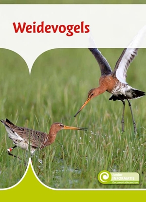 Afbeeldingen van Junior Informatie Weidevogels