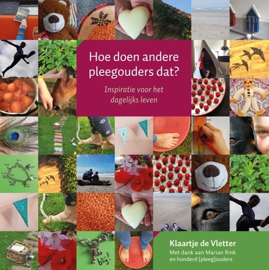 Afbeelding van Hoe doen andere pleegouders dat?