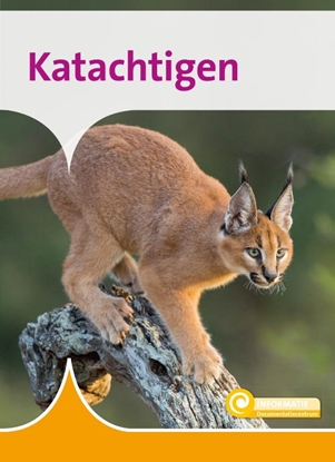 Afbeeldingen van Informatie Katachtigen