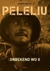 Afbeelding van Onbekend WOII Peleliu